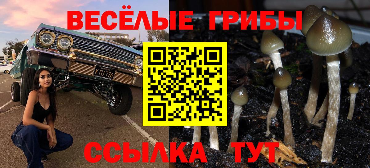 Галлюциногенные грибы Psilocybine cubensis  Псилоцибиновые грибы мицелий  Вход с VPN  Артём 